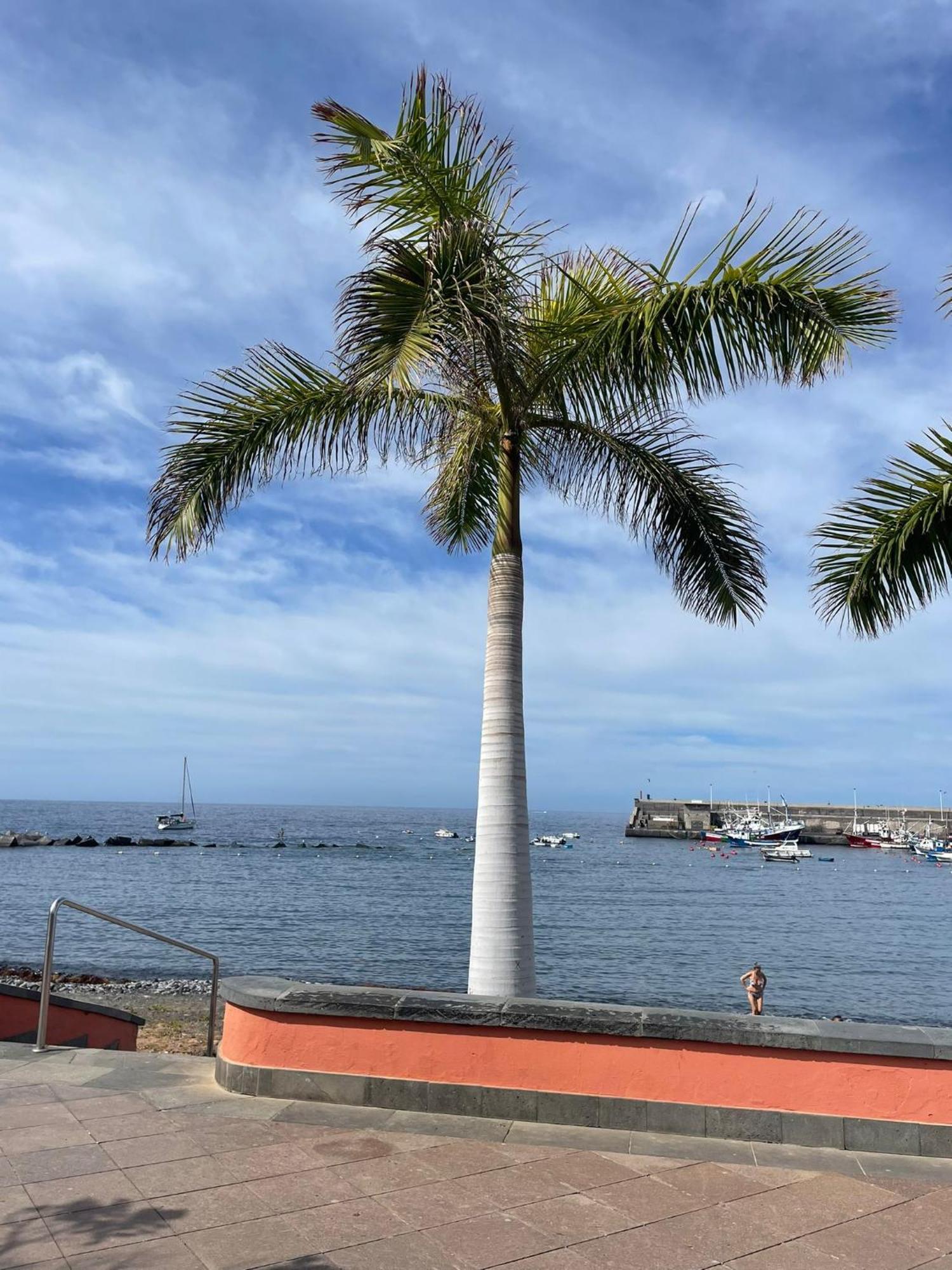Seaside Paradise - 2 Bedroom Apartment With Ocean Views & Air Conditioning In Playa San Juan エクステリア 写真